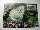 Annullo Speciale Maximum Butterfly Farfalla  Wwf Repubblica Ceca Maculinea Arion - Schmetterlinge