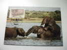 Annullo Speciale Maximum Wwf  Uganda Elefante Elephant - Elefanten