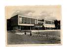 BRASSCHAAT Domein "hof Ten Bosch" Gelopen 1955 - Brasschaat