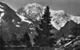 MONT BLANC Depuis L'Arpille (SUISSE) - Mon