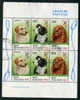 NOUVELLE-ZELANDE BLOC FEUILLET OBLITERE 1982 POUR ENFANCE CHIENS Y&T 47 - Blocks & Sheetlets