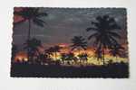 THE SUNNY CARIBBEAN GEORGOUS TROPICAL SUNSET USA ANTIGUA ANTILLES - Antigua Y Barbuda