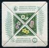 Hungary 1958 Sc 1202A  Mi Block 28 MNH Intl Philatelic Congress At Brussels. CV 45 Euro - Unused Stamps