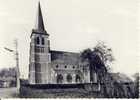 Viersel St.-Willebrordskerk Kerk - Zandhoven