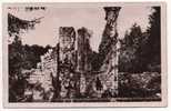 - ABBAYE De SAINT-WANDRILLE - Ruines Des Chapelles Du Pourtour Du Choeur (XIVe S.) - Carte Photo - - Saint-Wandrille-Rançon