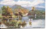 TUCKS OILETTE SERIES 7142 - THE LAKES - DERWENTWATER - Other & Unclassified