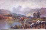 TUCKS OILETTE SERIES 7124 - THE LAKES - LANGDALE PIKES FROM ELTERWATER - Altri & Non Classificati