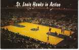 NBA St. Louis Hawks Basketball Team In Kiel Auditorium On C1960s Vintage Postcard - Basketbal