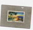 POLYNESIE Française : Paysages : Tuamotu (pirogue, Palmiers) - Tourisme - Vacances - Used Stamps