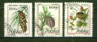 Pommes De Pin - POLOGNE - Pinus Strobus - Pinus Cembra - Larix Decidua Miller - N° 3118-3252-3318 - 1991 - Oblitérés