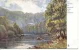 TUCKS OILETTE SERIES 1660 - MATLOCK BATH - THE HEIGHTS OF ABRAHAM - CUBLEY - Derbyshire