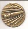 Médaille  De Table LE TEMERAIRE DGA /DCN CHERBOURG - France