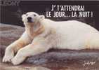 CPM " HUMOUR Des OURS  " - Mots Pour Rire - Osos