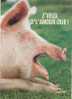 CPM " HUMOUR Des  COCHONS  " -  Paroles Pour L´éternité - Pigs
