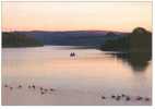 Britain United Kingdom - Evening From Bessom Bridge, Wimbleball Lake Postcard [P1656] - Other & Unclassified