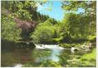 Britain United Kingdom - Badgworthy Water, Doone Valley, Exmoor Postcard [P1659] - Other & Unclassified