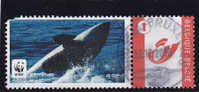 WWF   HAAI  REQUIN   VIGNET BESCHADIGT    VINGET ABIMé!!!!!!!!!!!!!!!! - Altri & Non Classificati