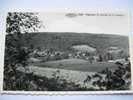 Réf: 32-17-4.                                      AUBY     Panorama Du Hameau De La Cornette. - Bertrix