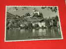 Werdenberg -  Grafenschloss Und Städtchen Werdenberg Bei Buchs   -  ( 2 Scans ) - Buchs