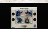 NORWAY/NORGE - 1992  WINTER OLYMPIC GAMES  MS  MINT NH - Blocchi & Foglietti