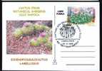 ROMANIA 2005  POSTCARD,with Cactusses,cactus.(F) - Cactusses