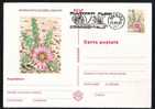 ROMANIA 1997 Entier Postaux Stationery POSTCARD,with Cactusses,cactus.(B) - Cactus