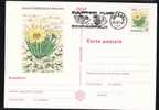 ROMANIA 1997 Entier Postaux Stationery POSTCARD,with Cactusses,cactus.(C) - Cactusses