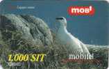Lagopus Mutus,Slovenia GSM Recharge Card - Slowenien