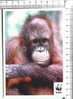 ORANG OUTAN  - Asie Du Sud Est, Bornéo Et Sumatra -   WWF - Scimmie