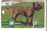 Nº3 PRESA CANARIO DE LA SERIE RAZAS CANINAS IBERICAS DE TIRADA 5300 - Privé-uitgaven