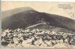 42 - Mont Pilat : Le Massif Vu De La Croix De L'Oeillon - Mont Pilat