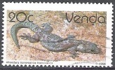 Venda 1986 Michel 131Y O Cote (2002) 1.50 Euro Salamandre De Transvaal - Venda