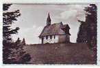 Postcard - Martinkapelle, Schwarzwald (8) - Hochschwarzwald