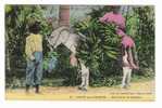 HAÏTI  /  PORT-au-PRINCE  /  MARCHANDE  DE  BANANES  ( Sur âne ) /  Collection  Benoît  COUBA  N° 20 - Haïti