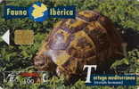 # SPAIN PU124 Tortuga Mediterranea 2100 Orga 03.97  -animal,tortue,turtle- Tres Bon Etat - Other & Unclassified