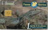 # SPAIN PU153 Lagartija De Las Pitiusas 1000 Orga 07.97 -animal- Tres Bon Etat - Other & Unclassified