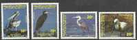 Djibouti 1991 Birds Oiseaux Aves Pelican Egret Heron Spoonbill MNH - Albatros