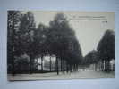 Fontenay Sous Bois , L'avenue De Fontenay - Fontenay Sous Bois