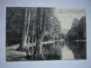 Fontenay Sous Bois , Pourtour Du Lac Des Minimes - Fontenay Sous Bois