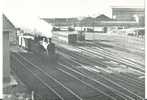 Haine Saint Pierre En 1956 (Gare De Formation Des Trains) - Binche