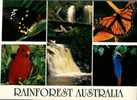 (066) Rainforest Birds And Butterfly - King Parrot - Cassowary - Autres & Non Classés