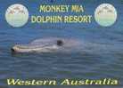 (507) Monkey Mia (UNESCO) - Dolphin - Andere & Zonder Classificatie