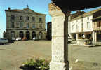 Carte Postale 82. Montpezat-de-Quercy  Trés Beau Plan - Montpezat De Quercy