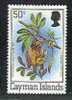 Cayman Isl. - Bat,1 Stamp, MNH - Chauve-souris