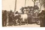 CARTE PHOTO CAVALCADE DE VARILHES DU 10 MAI 1908 REF 19572 - Varilhes