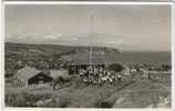 ROTARY CLUB - Bournemouth Boys Camp  - Real Photo PCd - Bournemouth Dorset - Bournemouth (a Partire Dal 1972)