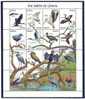 Ghana 1991 Birds Oiseaux  Aves Spoonbill Pelican Stork  Heron Jacana Sheet MNH - Storchenvögel