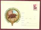 Hunting Trophies. Bear Ours Postal Stationery Cover. 1968 - Ours