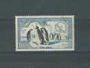 TERRES  AUSTRALES                N°  3 - Used Stamps