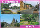 Carte Postale 60. Sainte-Geneviève Trés Beau Plan - Sainte-Geneviève